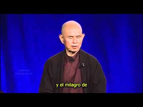 La energía de la compasión – Mindfulness CinemaSlow